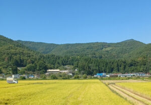 おコメの神様と人間魚雷の話